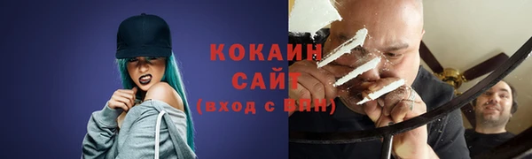 сатива Балахна