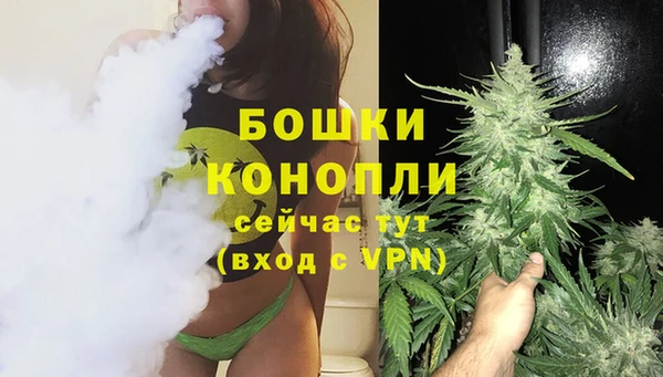 сатива Балахна