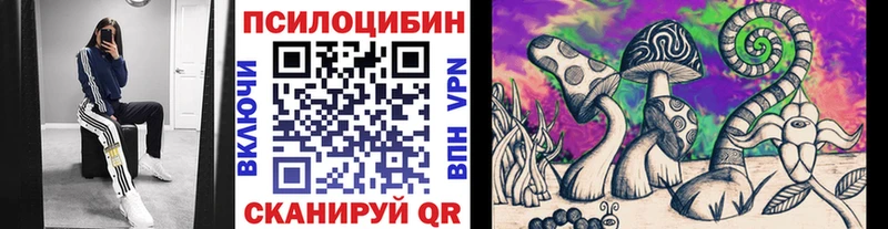 цены наркотик  Лесозаводск  Псилоцибиновые грибы мицелий 